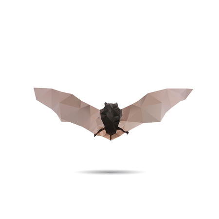 Bat abstract isolated on a white backgroundsのイラスト素材