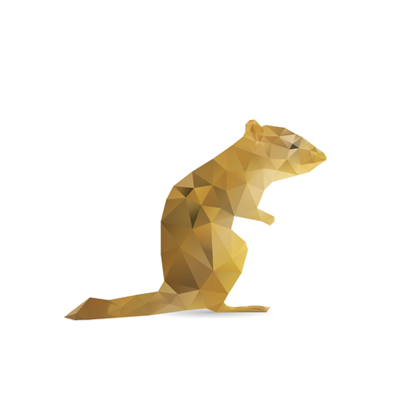 Abstract squirrel isolated on a white backgroundsのイラスト素材