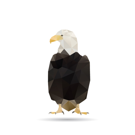 Geometric eagle on Triangle Pattern Background - Vectorのイラスト素材