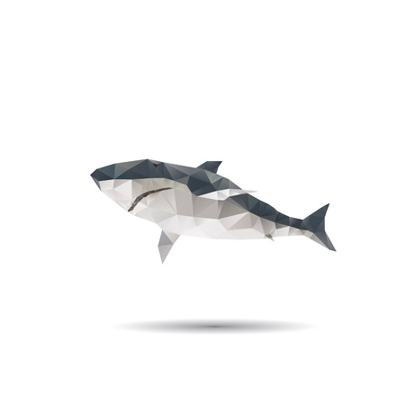 Abstract shark isolated on a white backgroundsのイラスト素材