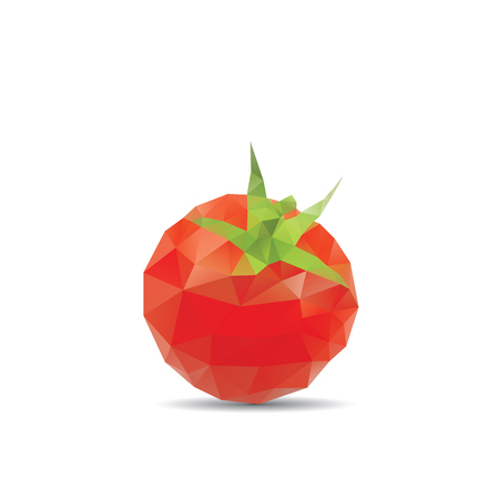 Tomato abstract isolated on a white backgroundsのイラスト素材