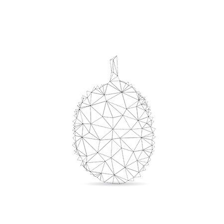 Durian abstract isolated on a white backgroundsのイラスト素材