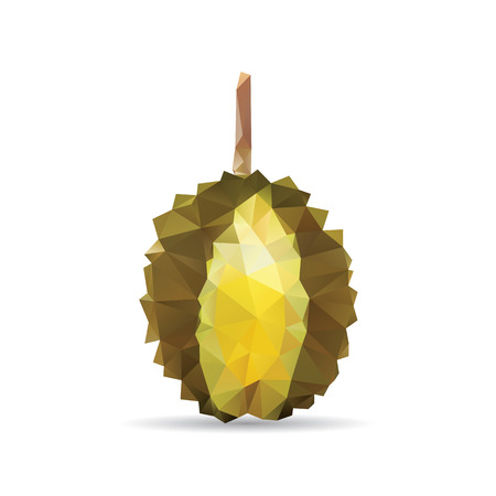 Durian abstract isolated on a white backgroundsのイラスト素材