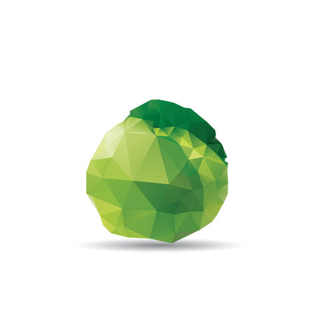 Cabbage abstract isolated on a white backgroundsのイラスト素材