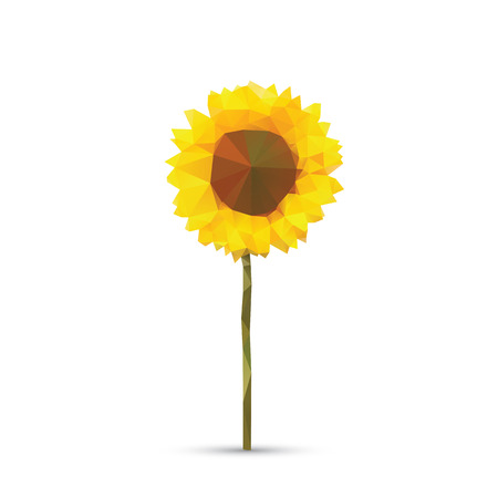 Vector abstract sunflower abstract isolated on a white backgroundsのイラスト素材