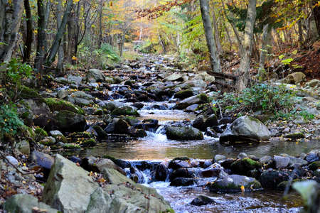wild mountain river flowing through the forest in the colors of autumn in the last warm rays of the sunの写真素材
