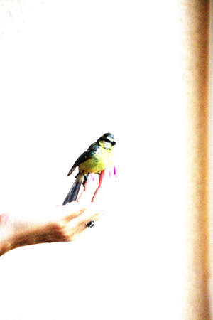photographs depicting understanding between two worlds, the animal world and the human worldの写真素材