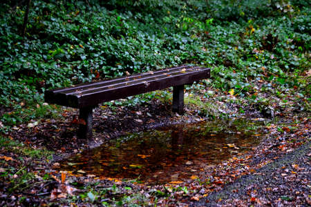 View of an abandoned wooden bench at autumn time sprinkled with raindropsの写真素材