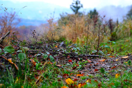 autumn world of wallachian corner of natural landscape in Javorniky mountains, Sirakov, 29.10.2020,...