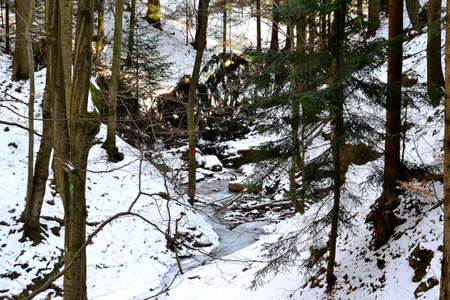 Winter forest valley in a blanket of snow, Javorniky, Wallachia, Czech Republicの写真素材