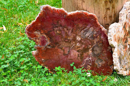 cut polished mineral exposed to the public in the grass, Czech Republicの写真素材