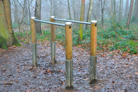 picture Gym equipment in a natural gym, alternatives for lockdown, January 2021, HavÃ­Å™ov,...