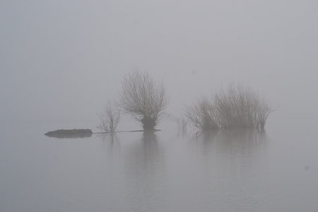 view of the surface of a dam lake covered with fog on the first day of the new year 2021, Terlicko, northern Moravia, Czech Republicの写真素材
