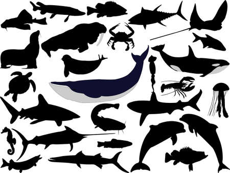 collection of aquatic wildlife vector silhouettesのイラスト素材