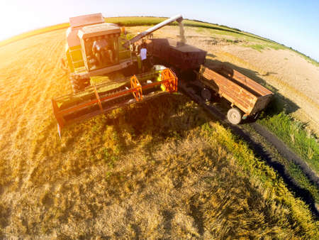 Top view of combined harvester working on field in sunny fall day. Agriculture concept.の写真素材