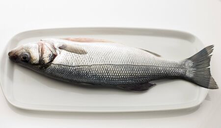 fresh bass sea fish on a plate close upの写真素材