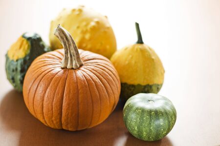 Various pumpkins on the table close up shootの写真素材