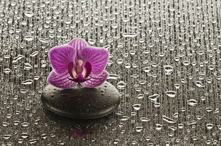 Wellness concept with zen stone and orchidの写真素材