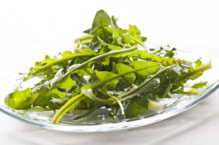 Fresh green dandelion on a plate close upの写真素材