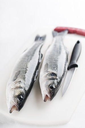 Fresh raw sea bass close up shootの写真素材