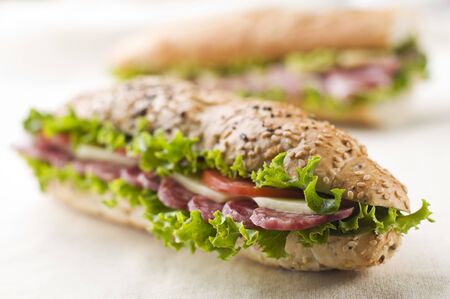 Fresh salami, cheese and tomato sandwich close upの写真素材