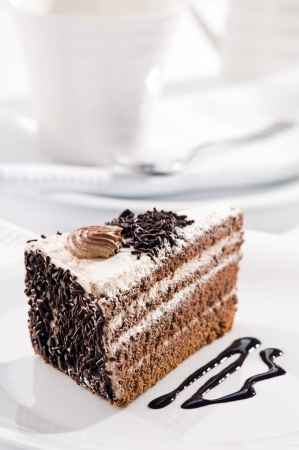 Beautiful tasty chocolate cake close up shoot 
の写真素材