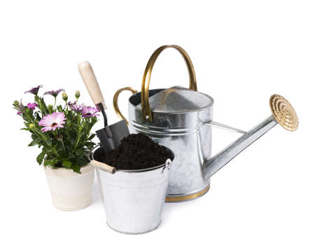 Watering can with flower and gardening tools isolated 
の写真素材