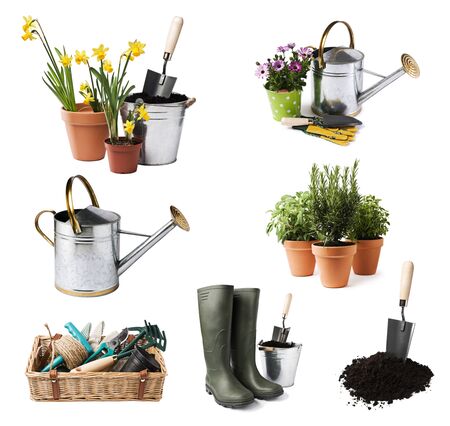 Gardening tools and flowers isolated on whiteの写真素材