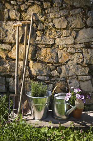 Gardening tools and flowers outdoor close up shootの写真素材
