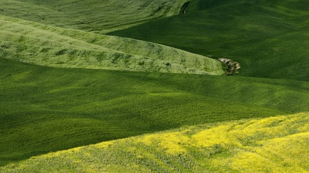 Green tuscany landscape in spring time close upの写真素材