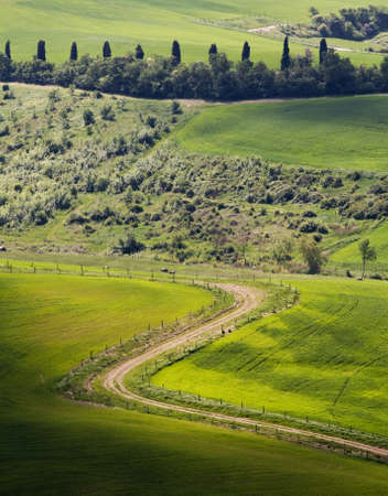 Rural green landscape in Tuscany - Italyの写真素材