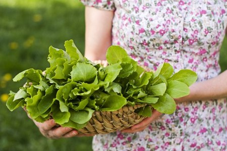 Young woman holding green salad outdoor close upの写真素材