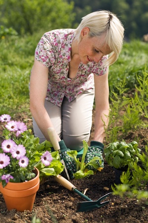 Young woman gardening outdoor close up shoot 
の写真素材
