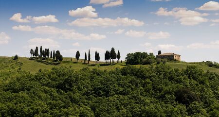 Green tuscany landscape in spring time close upの写真素材