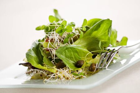 Fresh green salad with sprouts, capers and origano close upの写真素材