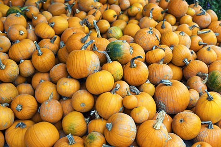 Big pile of orange halloween pumpkins close upの写真素材