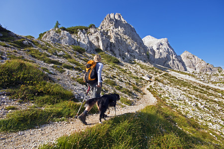 Young woman with dog on a sunny day hiking in high mountainsの写真素材