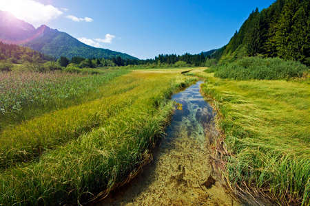 river landscape on a beautiful sunny dayの写真素材