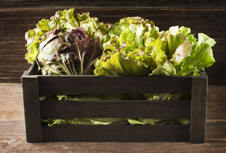 Salad in a box on a wooden background.の写真素材