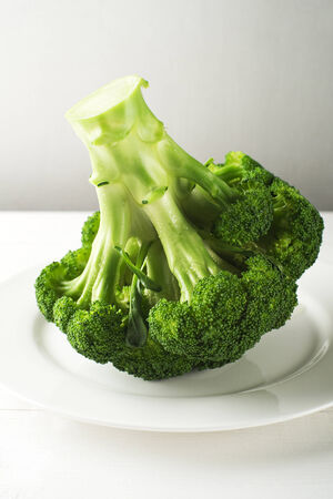 Fresh broccoli on a plate close upの写真素材