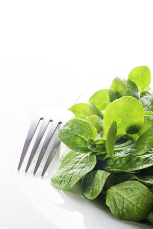 Valerianella lettuce isolated on white plate close upの写真素材