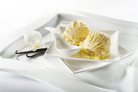 Vanilla ice cream on a white backgroundの写真素材