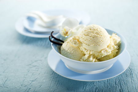 Vanilla ice cream on a white backgroundの写真素材