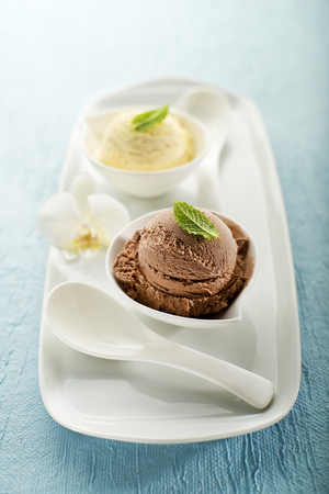 Chocolate and vanilla Ice cream on a white plateの写真素材