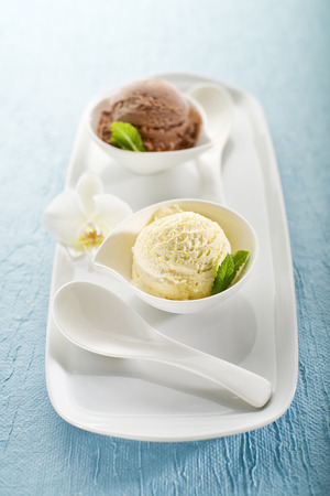Vanilla and chocolate Ice cream on a white plateの写真素材