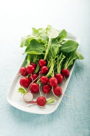 Bunch of fresh red radish on blue backgroundの写真素材