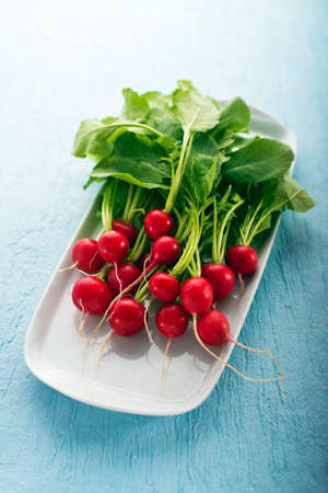 Bunch of fresh red radish on blue backgroundの写真素材