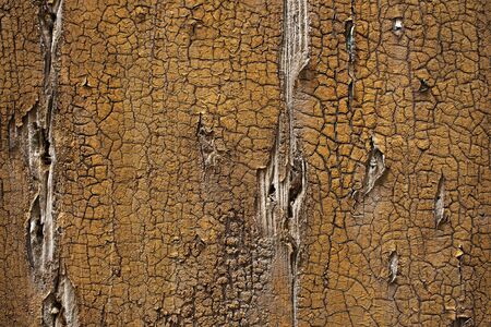 Old wooden cracked background overhead close up shootの写真素材