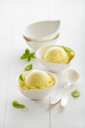 Fresh fruit sorbet ice cream in a white bowlの写真素材