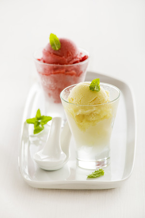 Fresh mixed fruit ice cream sorbet in glass.の写真素材